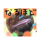 アクアリウムりんこ1（個別スタンプ：38）