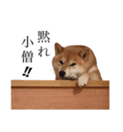 ぼぼぼぼると（個別スタンプ：3）