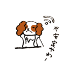 キャバリアとゲーム（個別スタンプ：17）