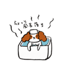 キャバリアとゲーム（個別スタンプ：22）