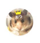 もふもふのもふっ（個別スタンプ：1）