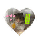 もふもふのもふっ（個別スタンプ：6）