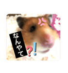 もふもふのもふっ（個別スタンプ：7）