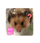 もふもふのもふっ（個別スタンプ：9）