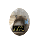 もふもふのもふっ（個別スタンプ：11）