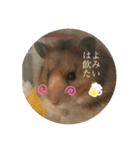 もふもふのもふっ（個別スタンプ：15）
