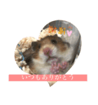 もふもふのもふっ（個別スタンプ：16）