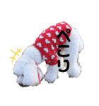ふわころちゃん（個別スタンプ：2）