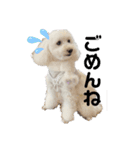 ふわころちゃん（個別スタンプ：4）