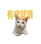 朝朝2021（個別スタンプ：1）