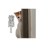 朝朝2021（個別スタンプ：2）