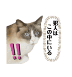 かわいい、ねこの、みるく（個別スタンプ：14）