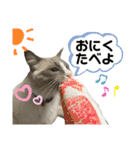 かわいい、ねこの、みるく（個別スタンプ：23）