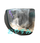 ジャンガリアンハムスターのミルクと太郎2（個別スタンプ：2）