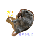 ジャンガリアンハムスターのミルクと太郎2（個別スタンプ：3）