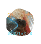 ジャンガリアンハムスターのミルクと太郎2（個別スタンプ：13）