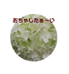 心なごむお花で一言（個別スタンプ：1）