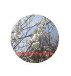 心なごむお花で一言（個別スタンプ：3）