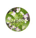 心なごむお花で一言（個別スタンプ：4）