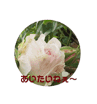 心なごむお花で一言（個別スタンプ：5）
