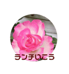 心なごむお花で一言（個別スタンプ：6）