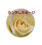心なごむお花で一言（個別スタンプ：9）