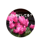 心なごむお花で一言（個別スタンプ：12）