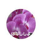 心なごむお花で一言（個別スタンプ：13）
