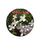 心なごむお花で一言（個別スタンプ：15）
