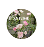 心なごむお花で一言（個別スタンプ：16）