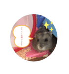 はむちゃんスタンプ♡（個別スタンプ：2）