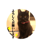 あじ丸スタンプ2（個別スタンプ：1）