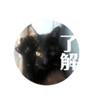 あじ丸スタンプ2（個別スタンプ：2）