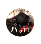あじ丸スタンプ2（個別スタンプ：5）