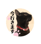 あじ丸スタンプ2（個別スタンプ：6）