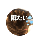 あじ丸スタンプ2（個別スタンプ：8）