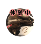 あじ丸スタンプ2（個別スタンプ：9）