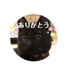 あじ丸スタンプ2（個別スタンプ：15）