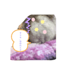 おめでとうスタンプ！！（個別スタンプ：4）