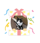 ハイドくん1（個別スタンプ：1）
