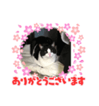 ハイドくん1（個別スタンプ：2）