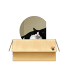 ハイドくん1（個別スタンプ：5）