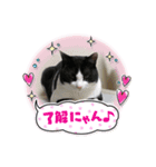 ハイドくん1（個別スタンプ：6）