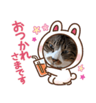 ねこちゃん2(=^・^=)（個別スタンプ：1）