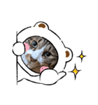 ねこちゃん2(=^・^=)（個別スタンプ：4）