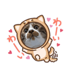 ねこちゃん2(=^・^=)（個別スタンプ：10）