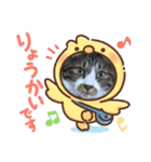 ねこちゃん2(=^・^=)（個別スタンプ：11）