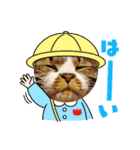 ねこちゃん2(=^・^=)（個別スタンプ：12）