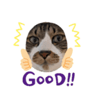 ねこちゃん2(=^・^=)（個別スタンプ：14）