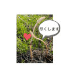 バイクと犬好きのスタンプno1（個別スタンプ：7）